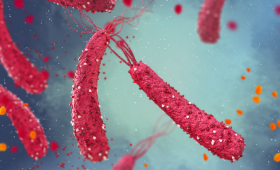 Картинка - Ерадикація Helicobacter pylori в умовах зростаючої антибіотикорезистентності