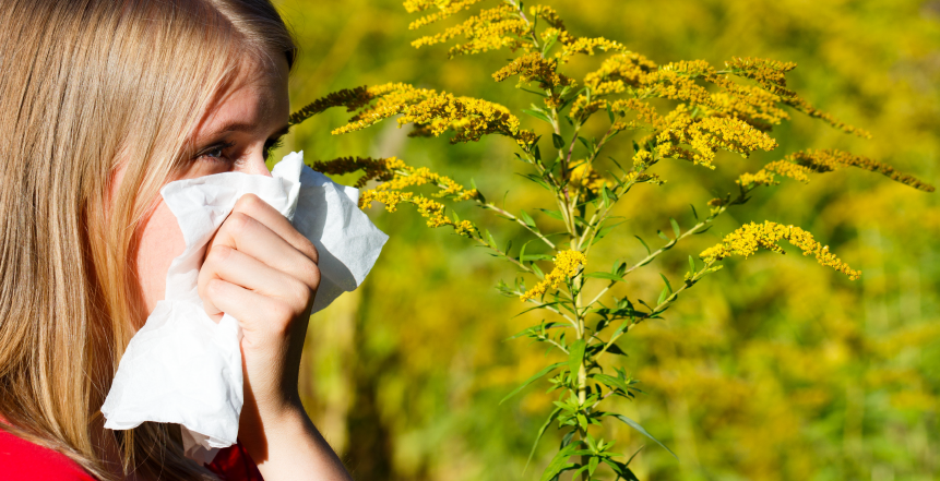 Фото - Аллергия на сорные травы