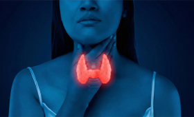 Картинка - Дослідження вільних та загальних фракцій тиреоїдних гормонів, застосування препаратів Селену – актуальні рекомендації медичних керівництв