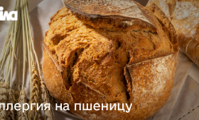 Картинка - Аллергия на пшеницу: современный подход к диагностике