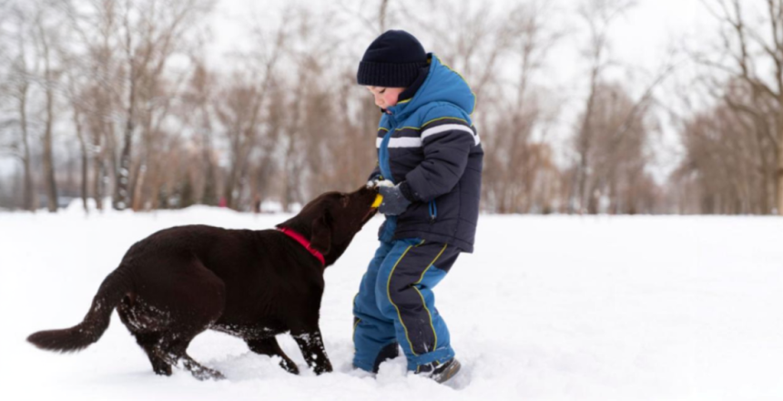 Фото - Токсокароз у дорослих та дітей