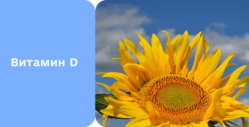 Фото - Витамин D весной – почему важно проверить после зимы