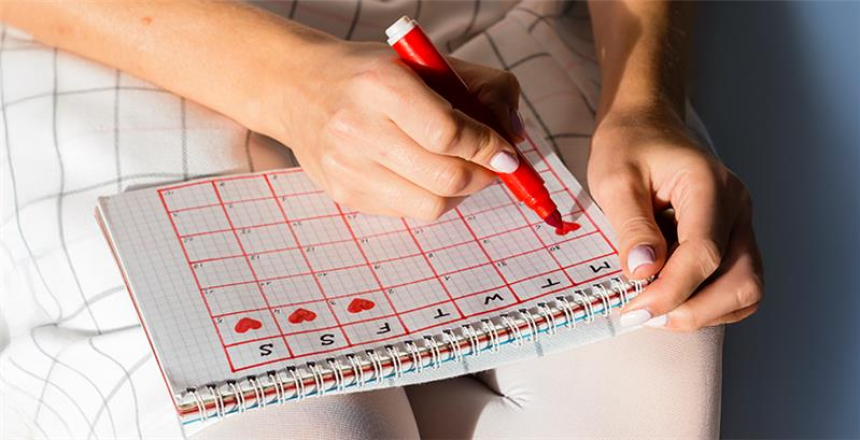 Фото - Менструальный цикл – как работает женский организм?