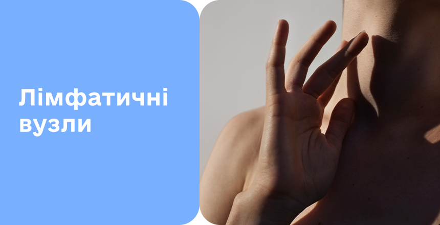 Фото - Лімфатична система людини