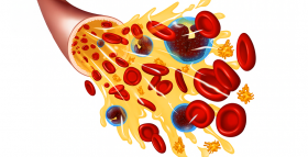 Картинка - Кров людини