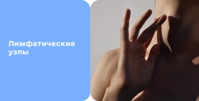 Картинка - Лимфатическая система человека