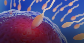 Як покращити якість сперми та чоловічу фертильність?