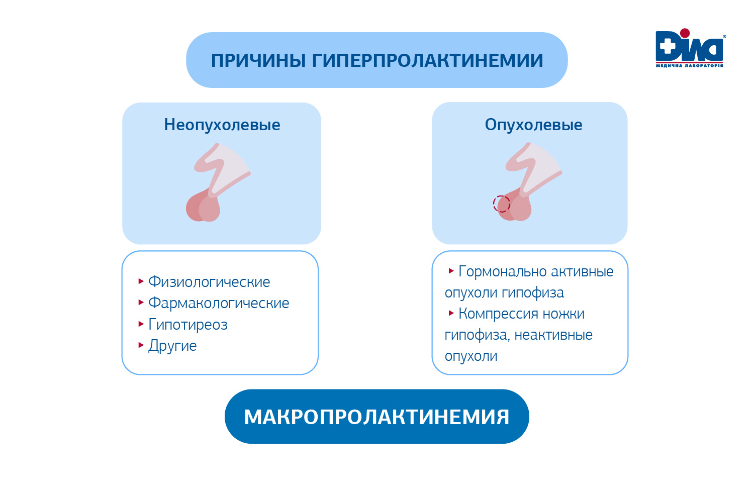 Надо ли делать МРТ гипофиза при повышенном уровне пролактина?