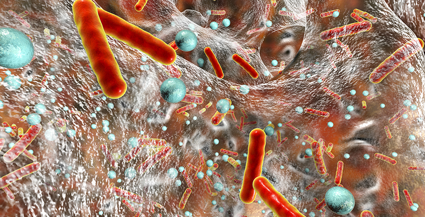 Фото - Автоматизована мікробіологія – новий рівень мікробіологічних досліджень 
