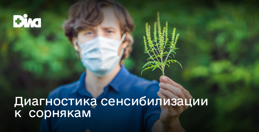 Фото - Аллергия на амброзию и сорняки: современная диагностика ALEX² и персонализированное лечение