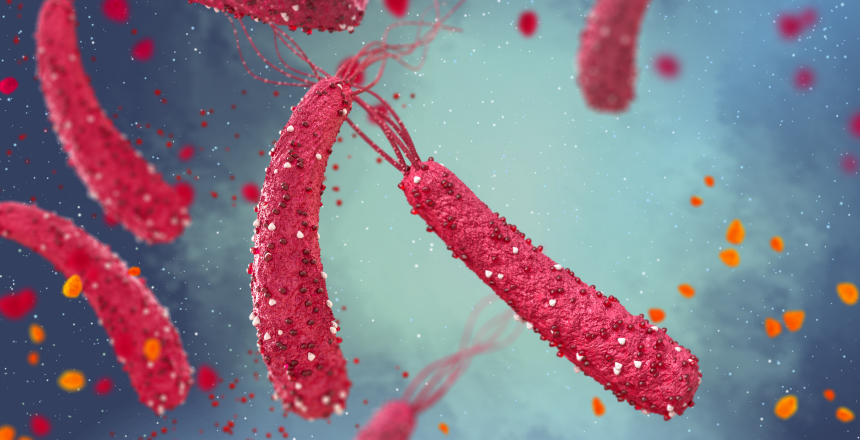 Фото - Ерадикація Helicobacter pylori в умовах зростаючої антибіотикорезистентності