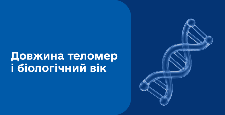 Фото - Теломери – генетичний паспорт довголіття