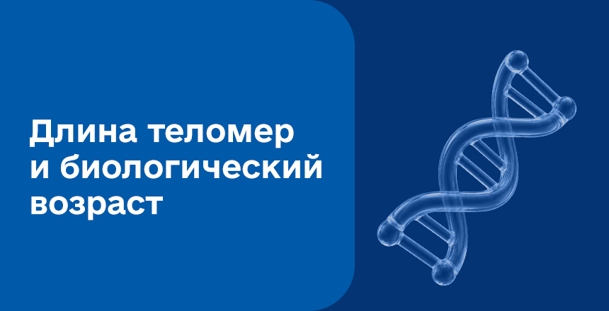Фото - Теломеры – генетический паспорт долголетия