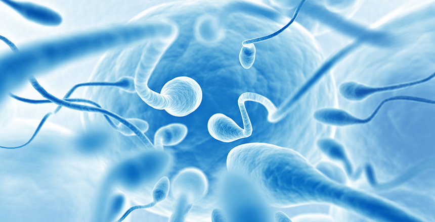 Фото - Унікальні пропозиції від медичної лабораторії ДІЛА для оцінки репродуктивного здоров’я чоловіків
