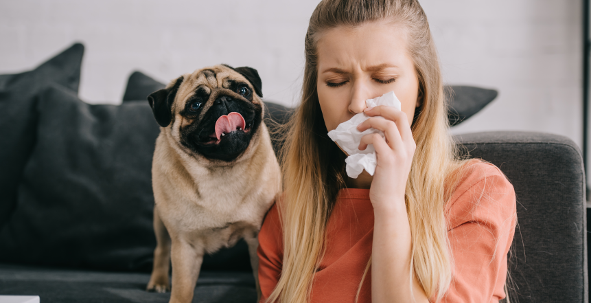 Фото - 5 кроків лікаря при підозрі на алергію до собак