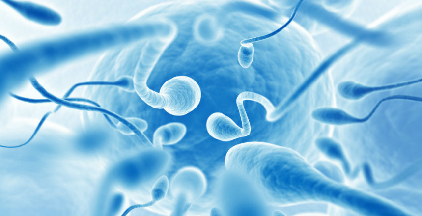 Фото - МЛ ДІЛА повысила информативность и точность исследования спермограмма