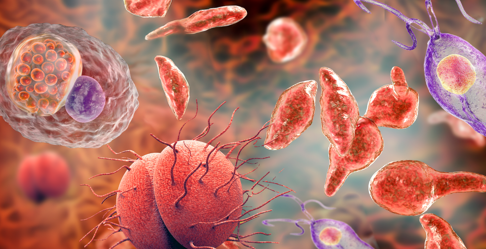 Фото - «ІПСШ: фокус на N.gonorrhoeae та M.genitalium. Діагностичні інновації для ефективного лікування»